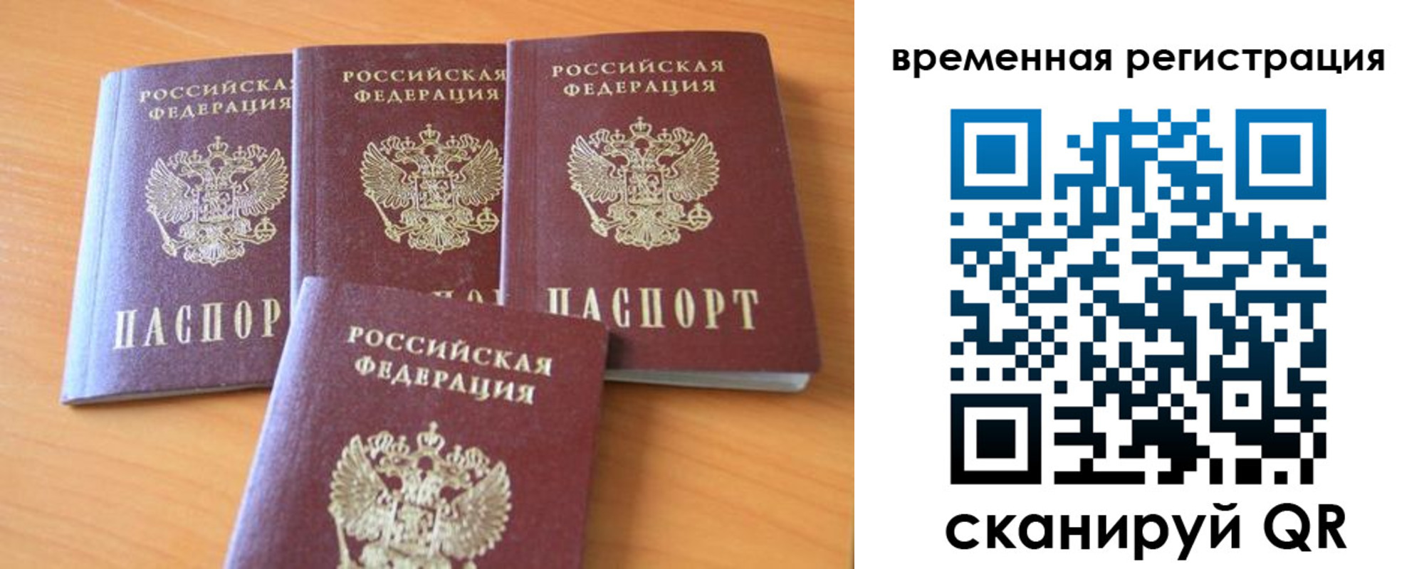 прописка для школы в Елизово